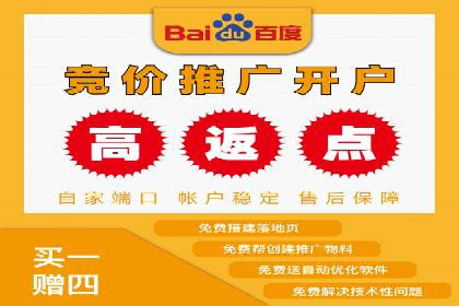 百度竞价广告投放技巧及某行业成功案例